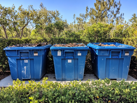 Worst Practices: Welche Fehler sollten bei der Container-Entsorgung vermieden werden?