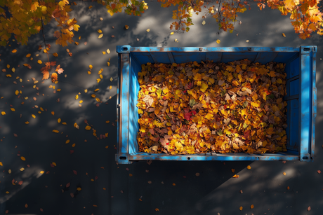 Der optimale Container im Herbst: Effiziente Abfallentsorgung für die goldene Jahreszeit
